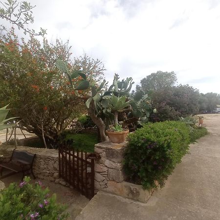 Casa Rural Es Cap De Barbaria San Francisco Javier Экстерьер фото