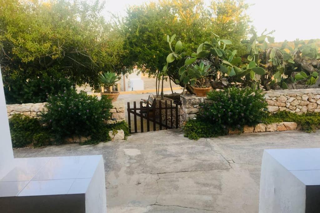 Casa Rural Es Cap De Barbaria San Francisco Javier Экстерьер фото