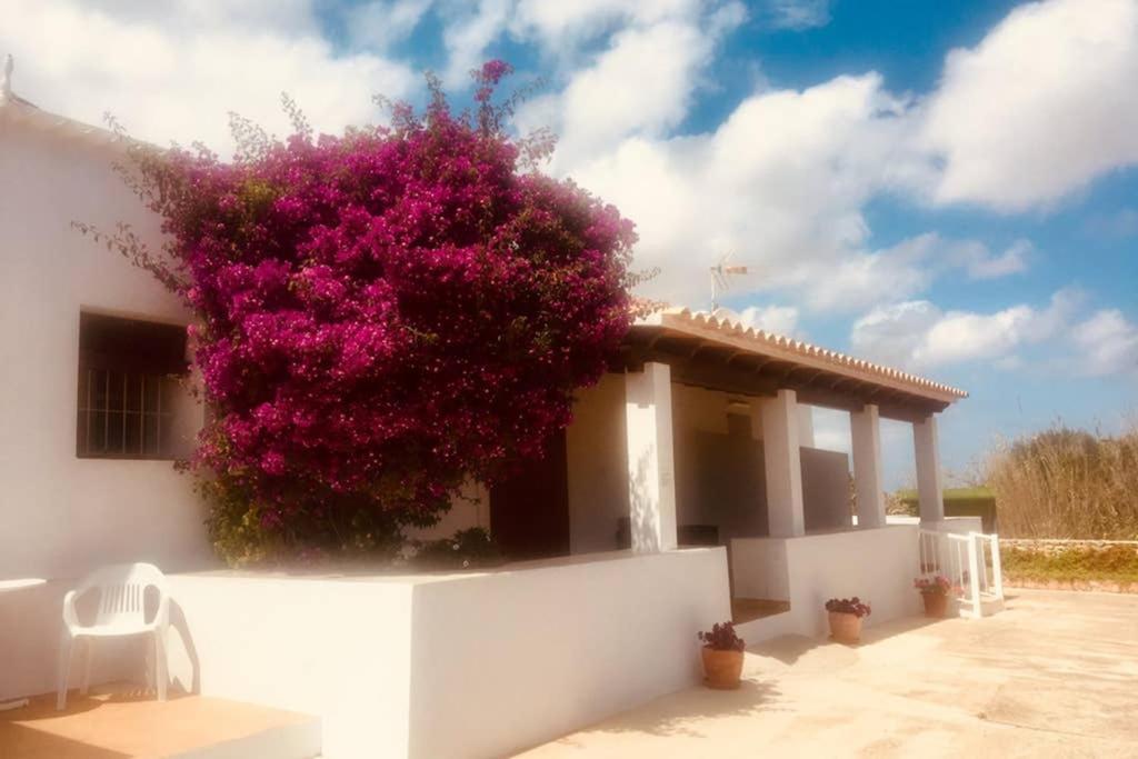 Casa Rural Es Cap De Barbaria San Francisco Javier Экстерьер фото
