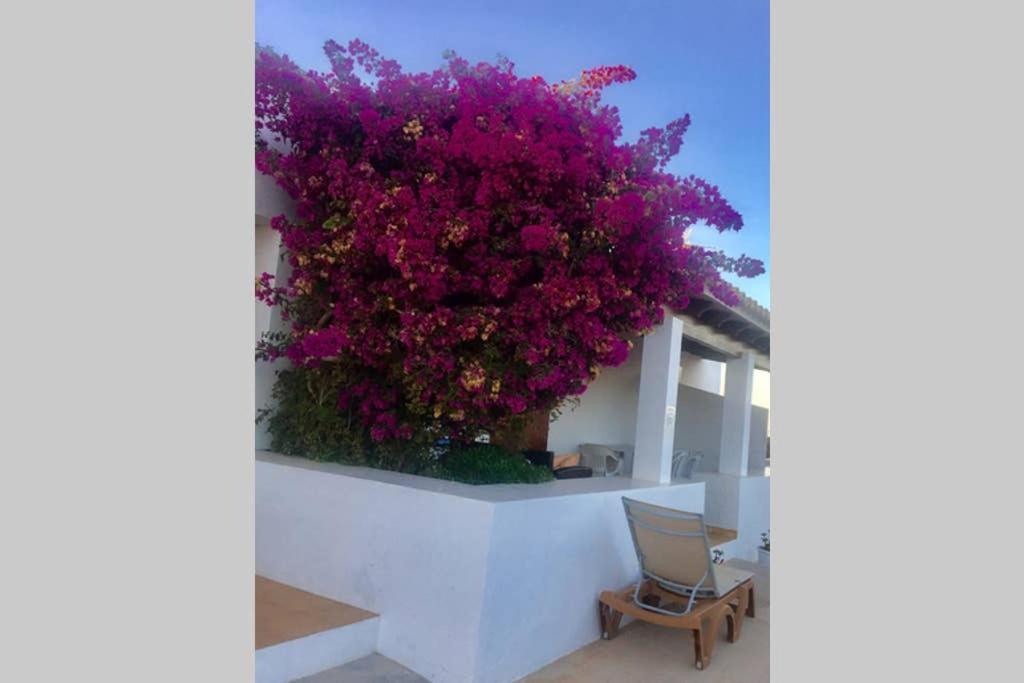 Casa Rural Es Cap De Barbaria San Francisco Javier Экстерьер фото