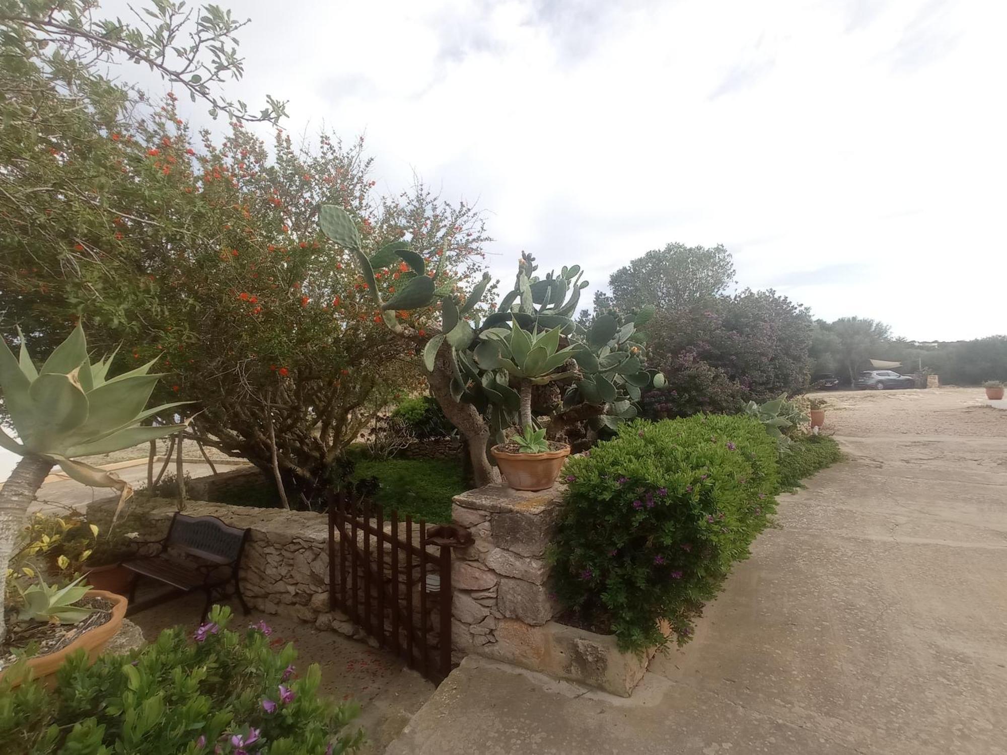 Casa Rural Es Cap De Barbaria San Francisco Javier Экстерьер фото